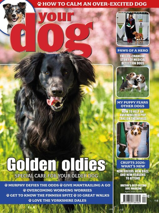 Title details for Your Dog by Warners Group Publications Plc - Available